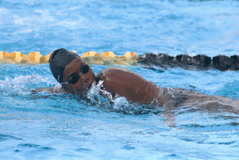 ELISSEA STAPLES: Swimming brings back childhood