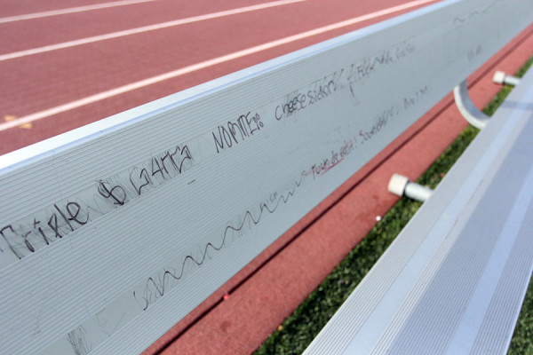 The benchs in the stadium not only have tagging, but are missing parts. 