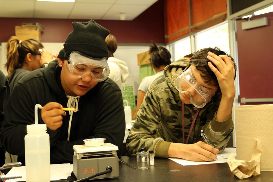Senior Chris Castro  and Junior William Reynolds working on a lab in Ms. Pachecos chemistry class.