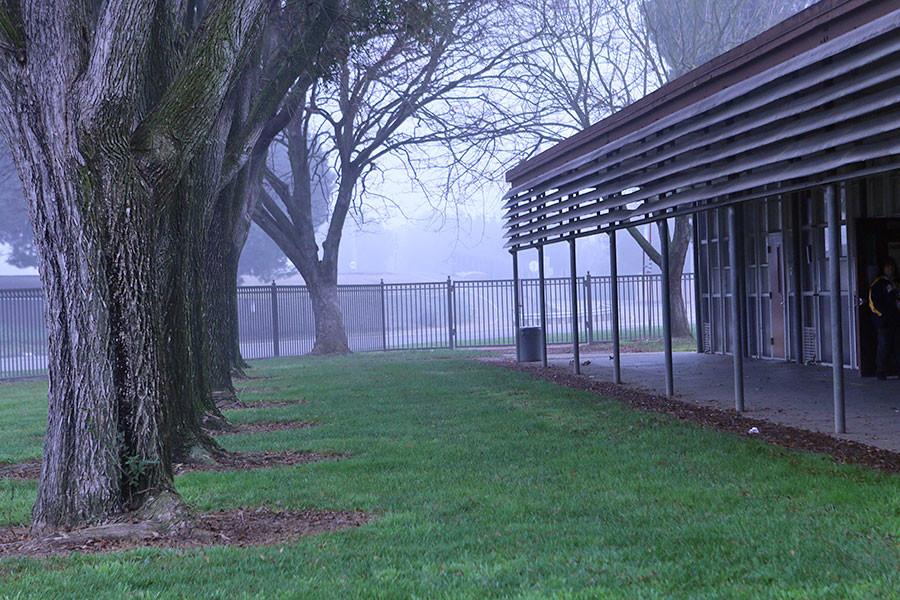 This week Stockton was blanketed with thick fog, making it one of the coldest days of the week. 