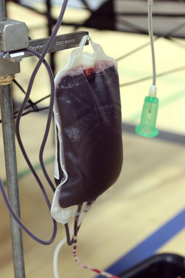 Because humans have 10 pints of blood, giving one pint isnt stressful on the body. 