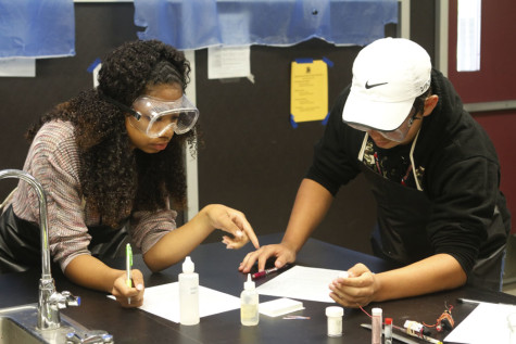 Students participate in a lab during their fourth period class.