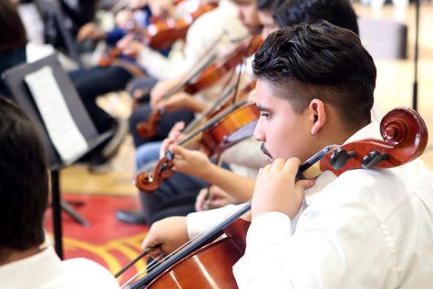 Sophmore Julian Garcia plays his cello following his sections movement.