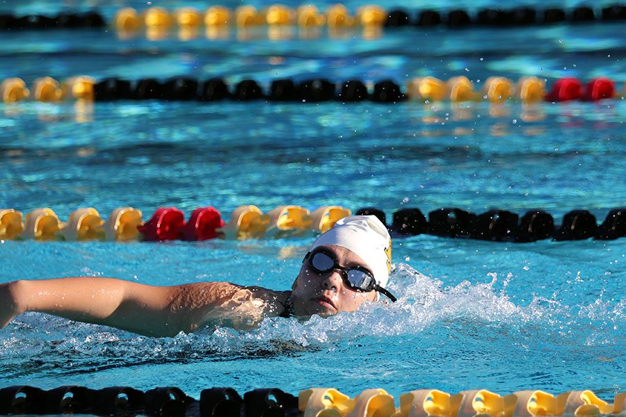 AUTUMN WRIGHT: Swim Enhancing Speed