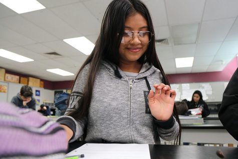 Sophomore Gabirela Perez has flipped the penny to see how probability works in the lab.  