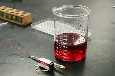 The phenolphthalein caused the water to turn a dark pink color.
