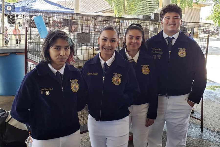 FFA WINS FIRST COMPETITION OF THE YEAR
