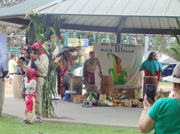 GALLERY - Stockton Maize Criollo Festival celebrates and educates about corn