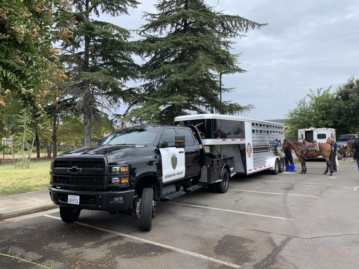 Lieutenant Harris drives a massive police department truck that delivered the horses in the morning; the officers were riding for the public to interact and with. There was hay on the side of the trailer for the horses to eat. 