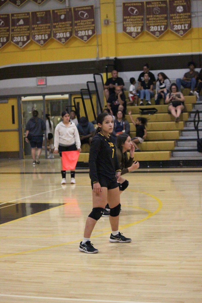 Setter, Alexis Fandrich stands ready for the next play.