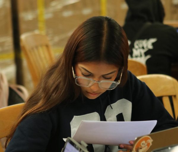 Danna Galindo-Subuyuy looks over her transcripts as she enters her grades. These workshops helped Galindo-Subuyuy get into 2 schools so far.