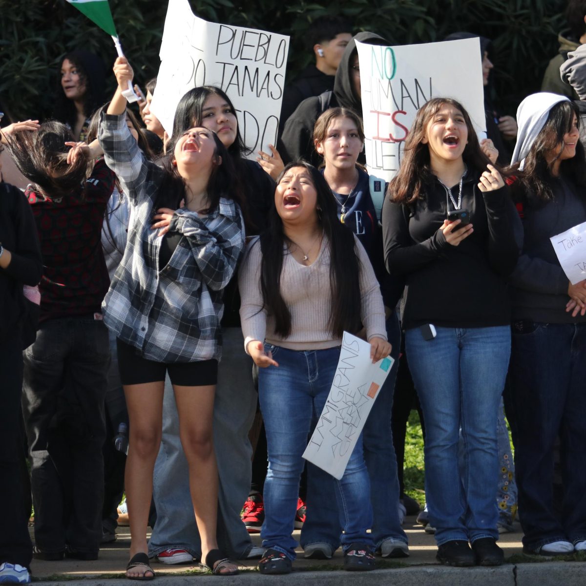 Students chant, wave flags, and hold up signs to advocate for immigrant rights.