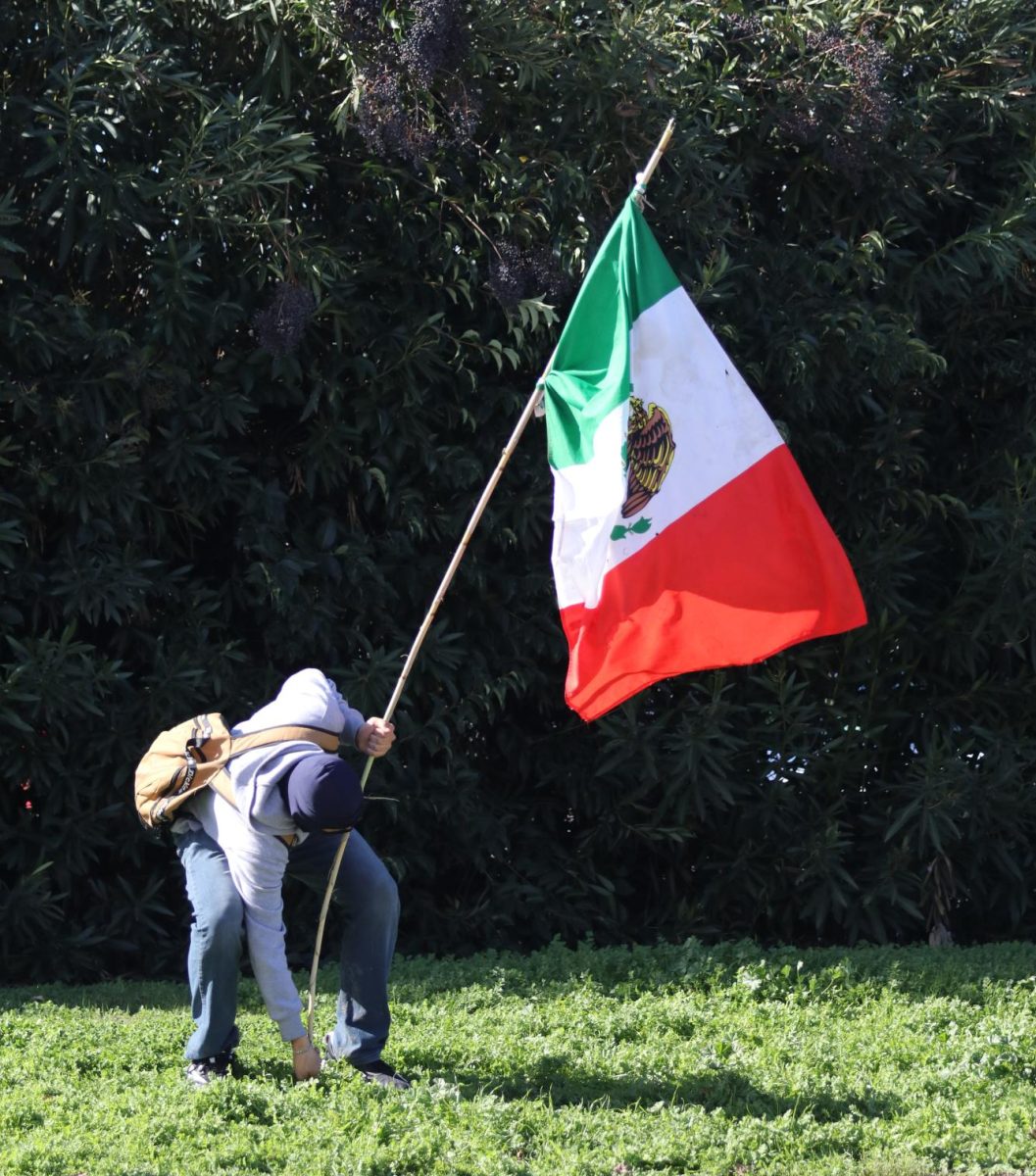 A student plants the Mexican flag with bamboo sticks as its pole.