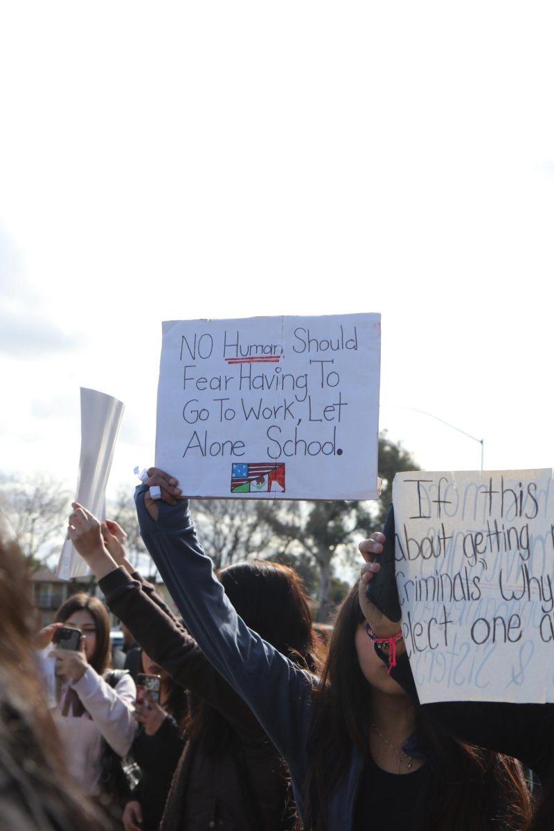 A protester raises their sign high above the crowd, standing among other participants.