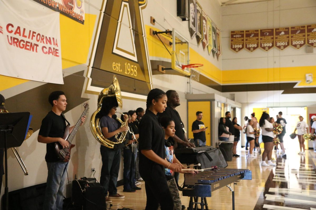 Mr. Robinson, along with a few of his band students play as freshmen are sent out of the gym for their campus tours. The music continues as students make their way to the next activity.