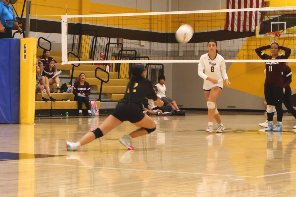 Averie Scott #2, Libero,  became a star player of digs per set and total digs after saving the ball 11 times before touching the ground.