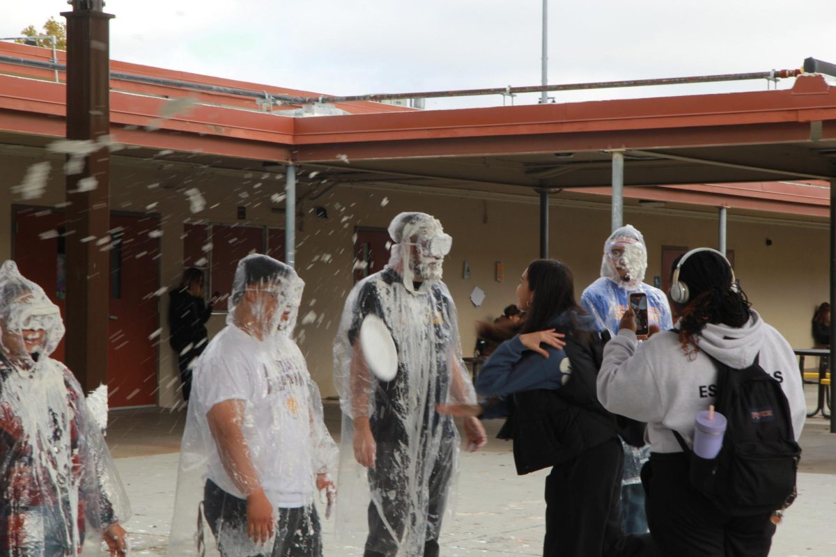 History teacher Christopher Rothrock is struck with a pie.