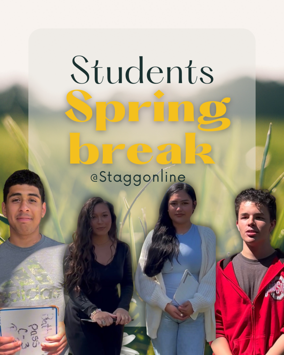 Student Spotlight: Spring Break Edition