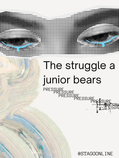 The struggle a junior bears