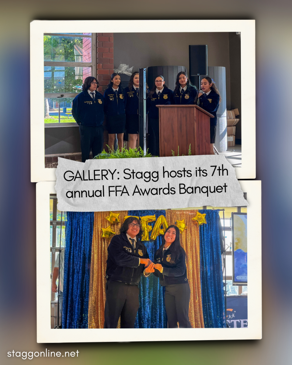 GALLERY: Stagg hosts its 7th annual FFA Awards Banquet